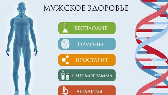 мужское здоровье